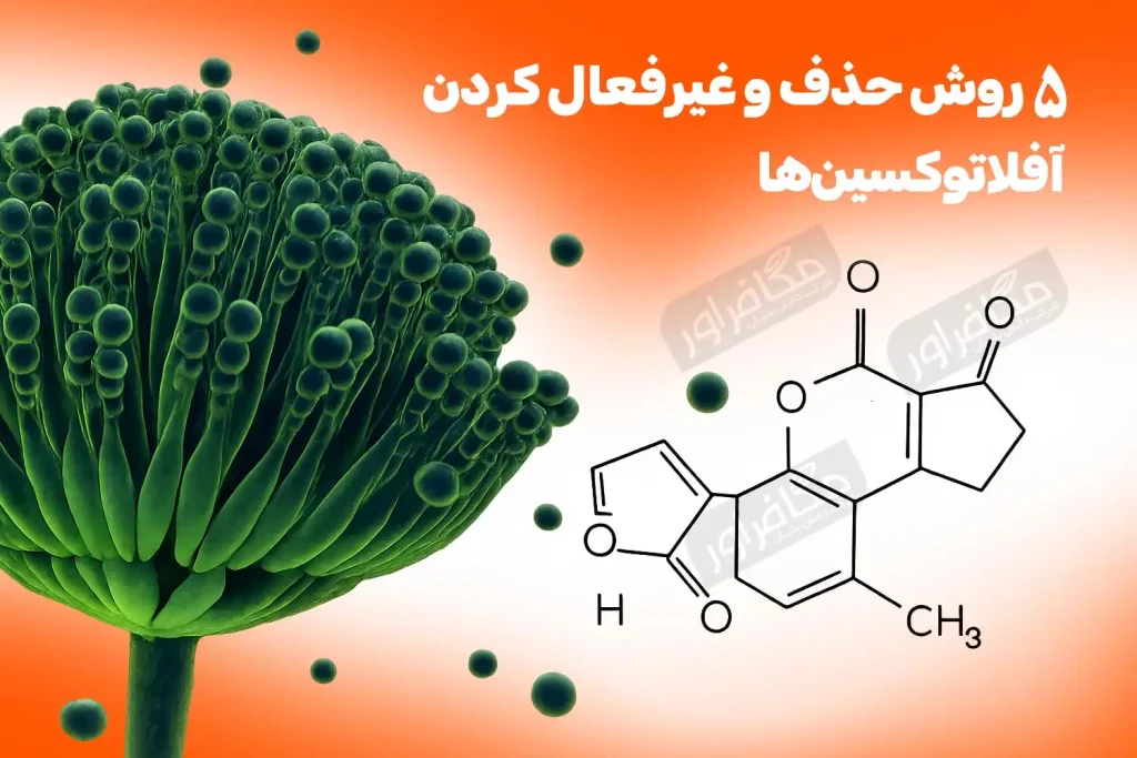 5-روش‌-حذف-و-غیرفعال-کردن-آفلاتوکسین‌ها