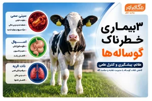 پوست محتوای سه بیماری خطرناک گوساله ها