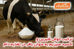 ترکیب جوش شیرین و اکسید منیزیم به عنوان بافر در تغذیه دام